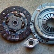 13925414_1162737023783634_2677613373821444380_n